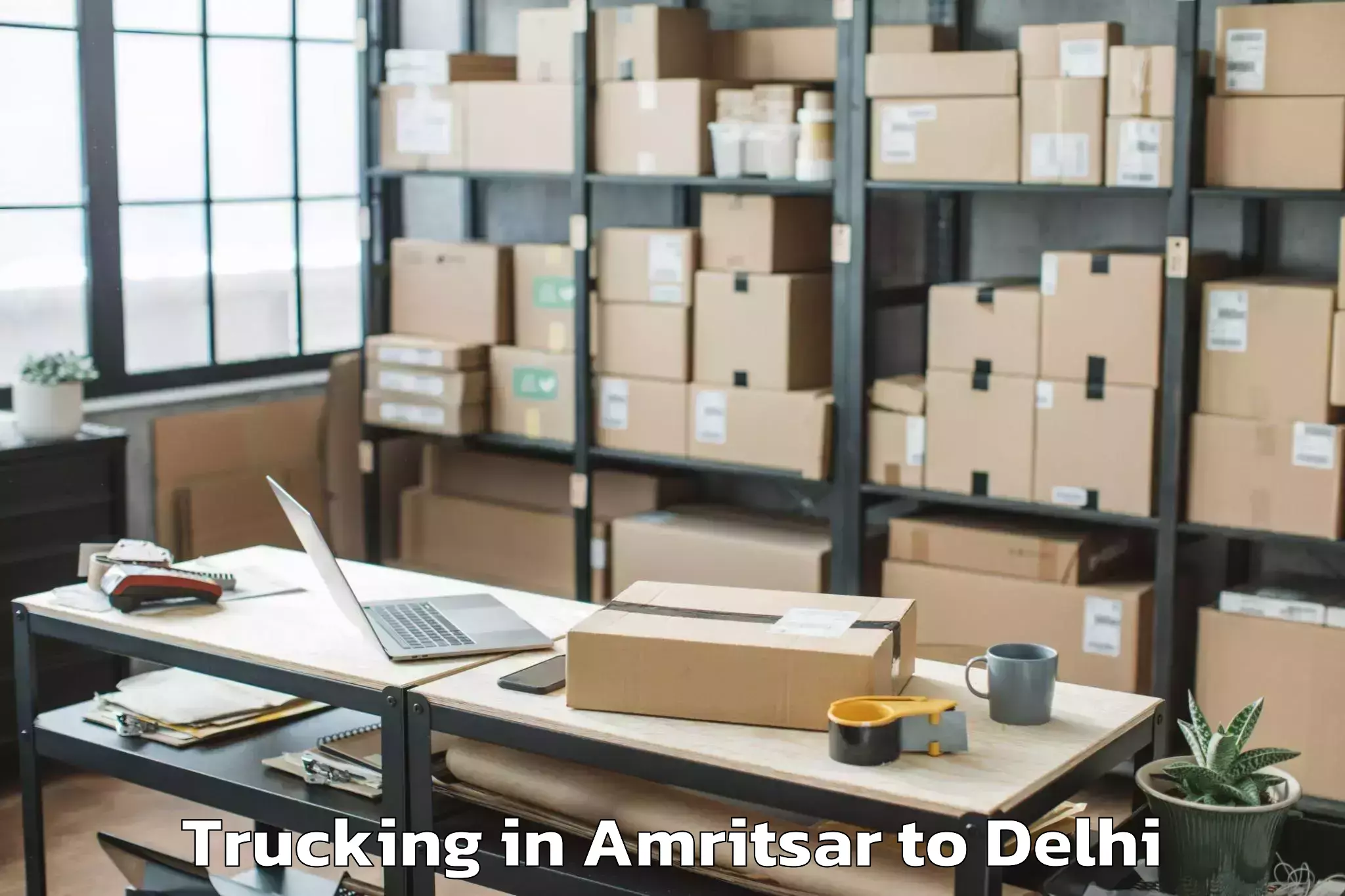 Professional Amritsar to Westend Mall Delhi Trucking